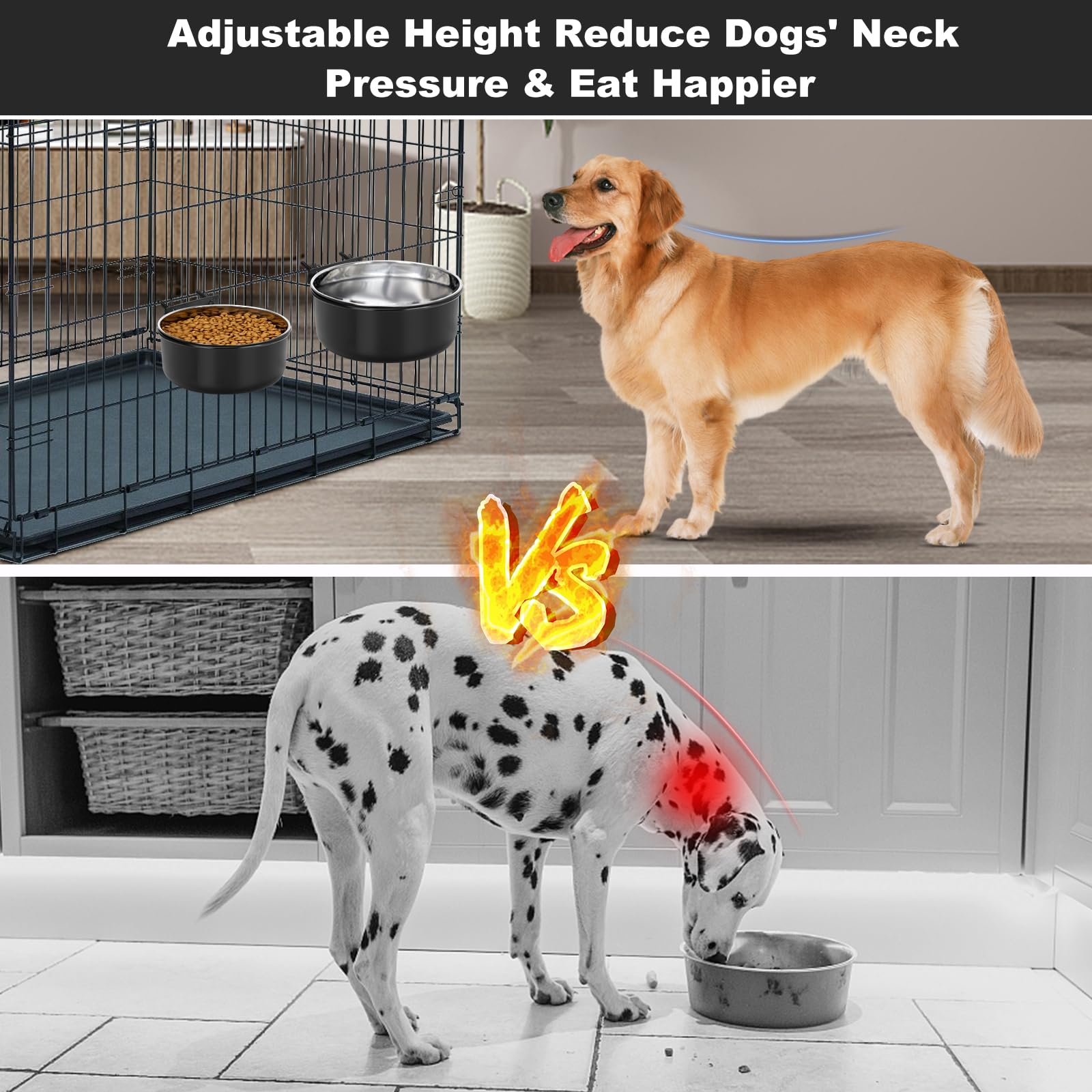 MultiOutools crate dog bowls dishwasher-safe for easy maintenance