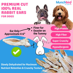 Close-up of a crunchy rabbit ear snack by Munchbird for dogs.