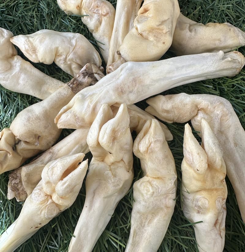 Munchbird Lamb Trotter pieces closeup highlighting calcium-like nutrients
