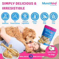 Munchbird Lamb Trotter rawhide-free visual suitable for sensitive dogs