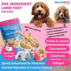 Munchbird Lamb Trotter texture closeup, chewy training treat with lamb flavor