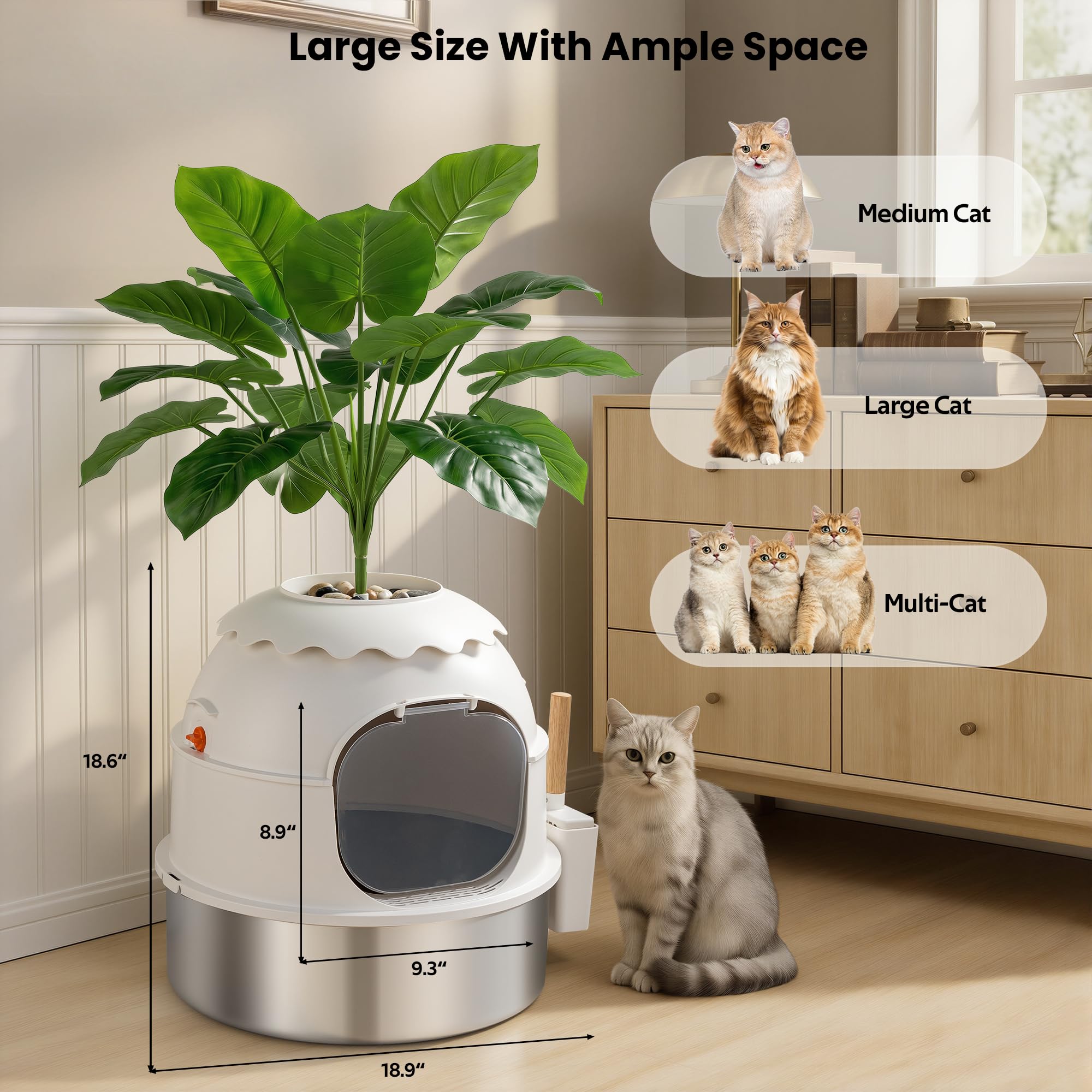 MuseMira large interior fits big cats and multi-cat households