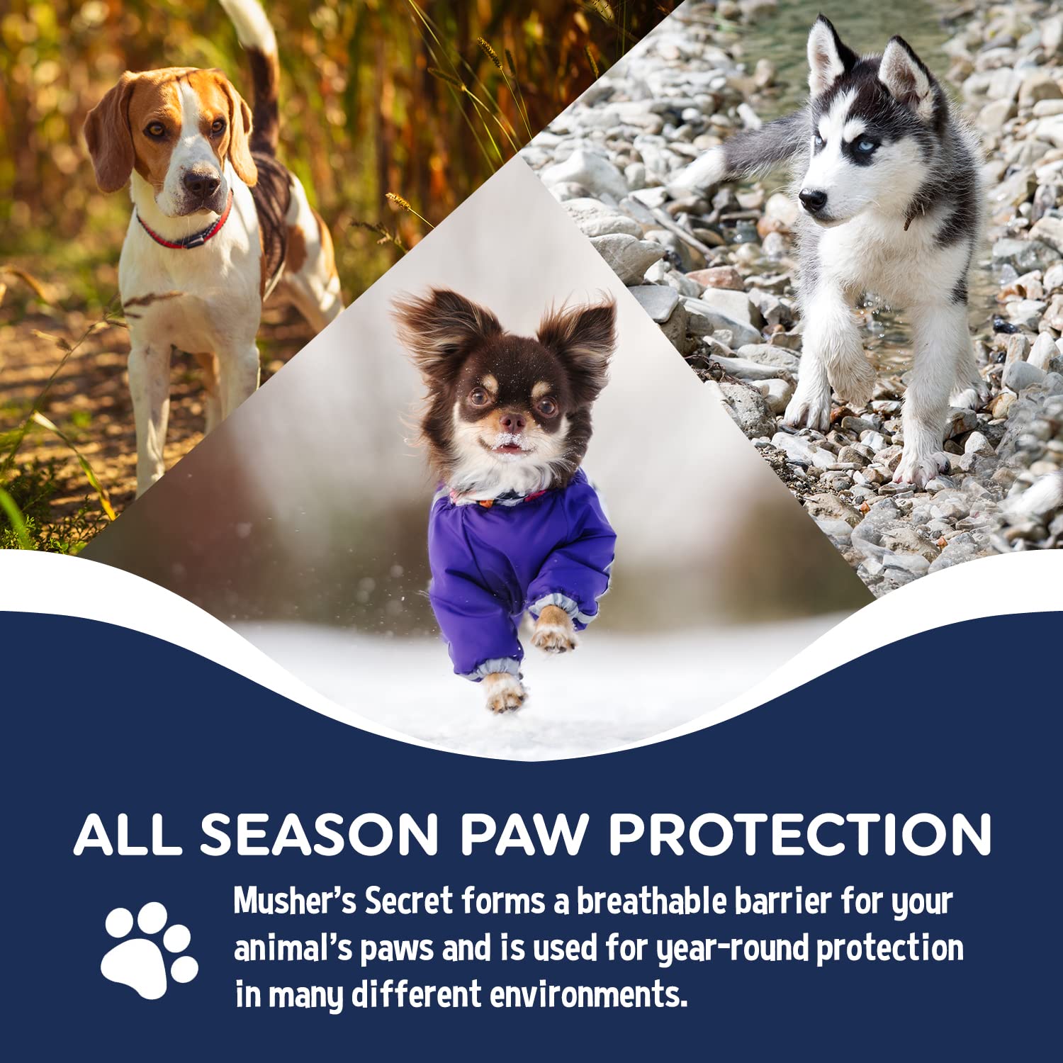 Application on dog paws demonstrates easy, smooth coverage.