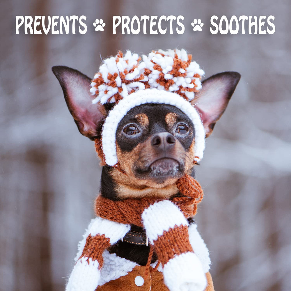 Musher's Secret paw wax on hot pavement protects paws.