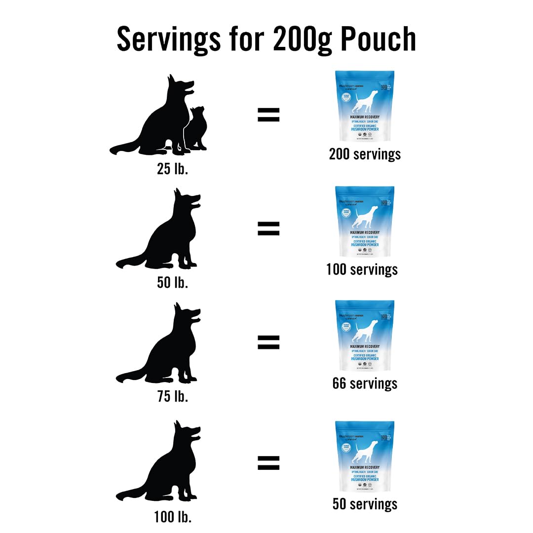 Mushroom Matrix powder ready to mix into pets' meals for wellness.