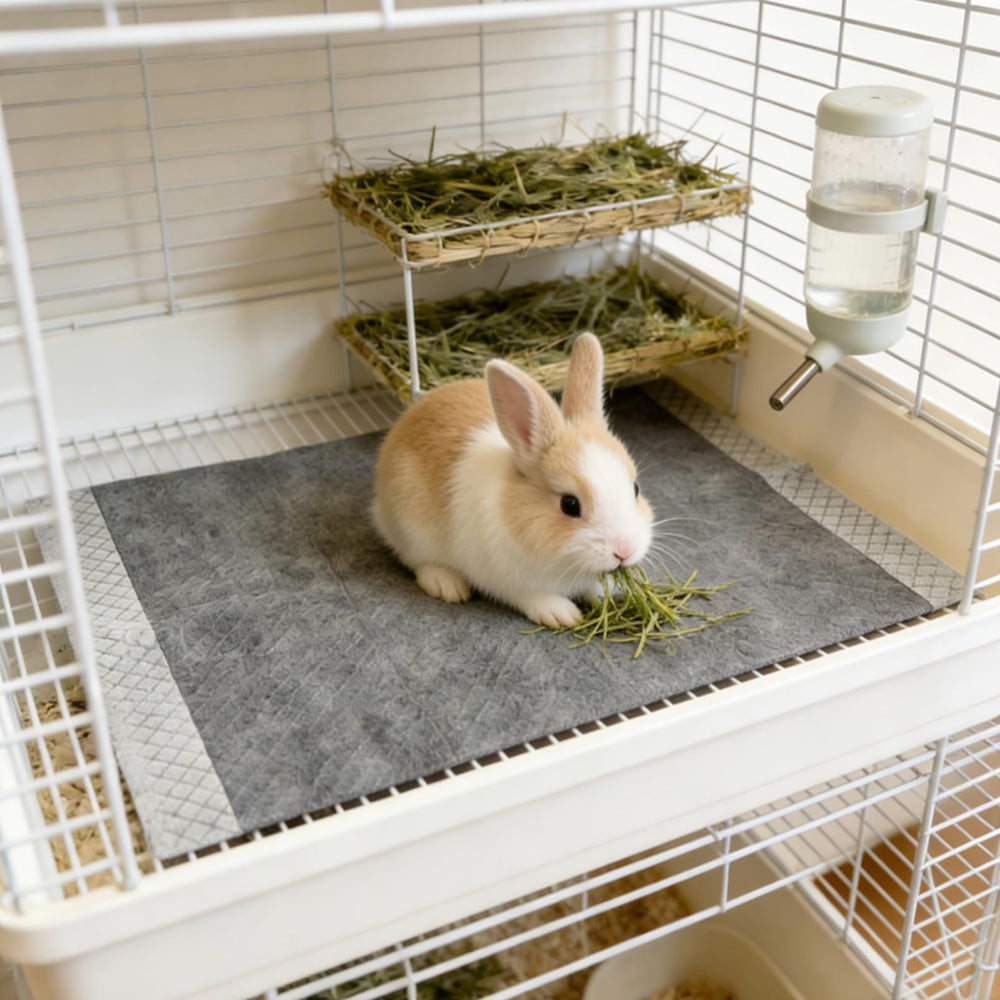 MUYG 100-piece set for multi-pet households