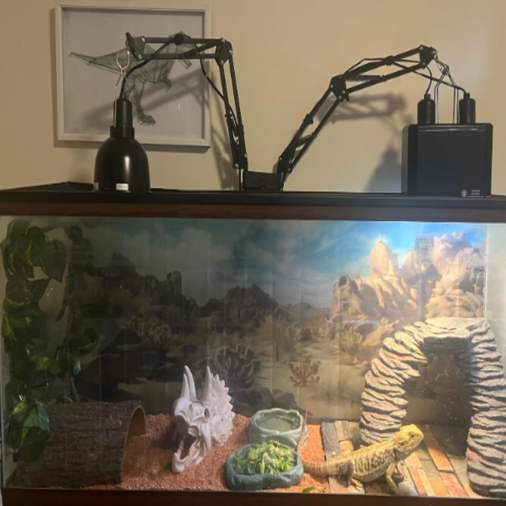 MUYG Bearded dragon habitat accessory enhances engagement and exploration.