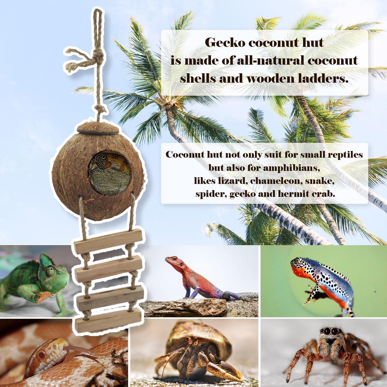 MUYG bendable jungle climbing vines add flexible cover and enrichment.