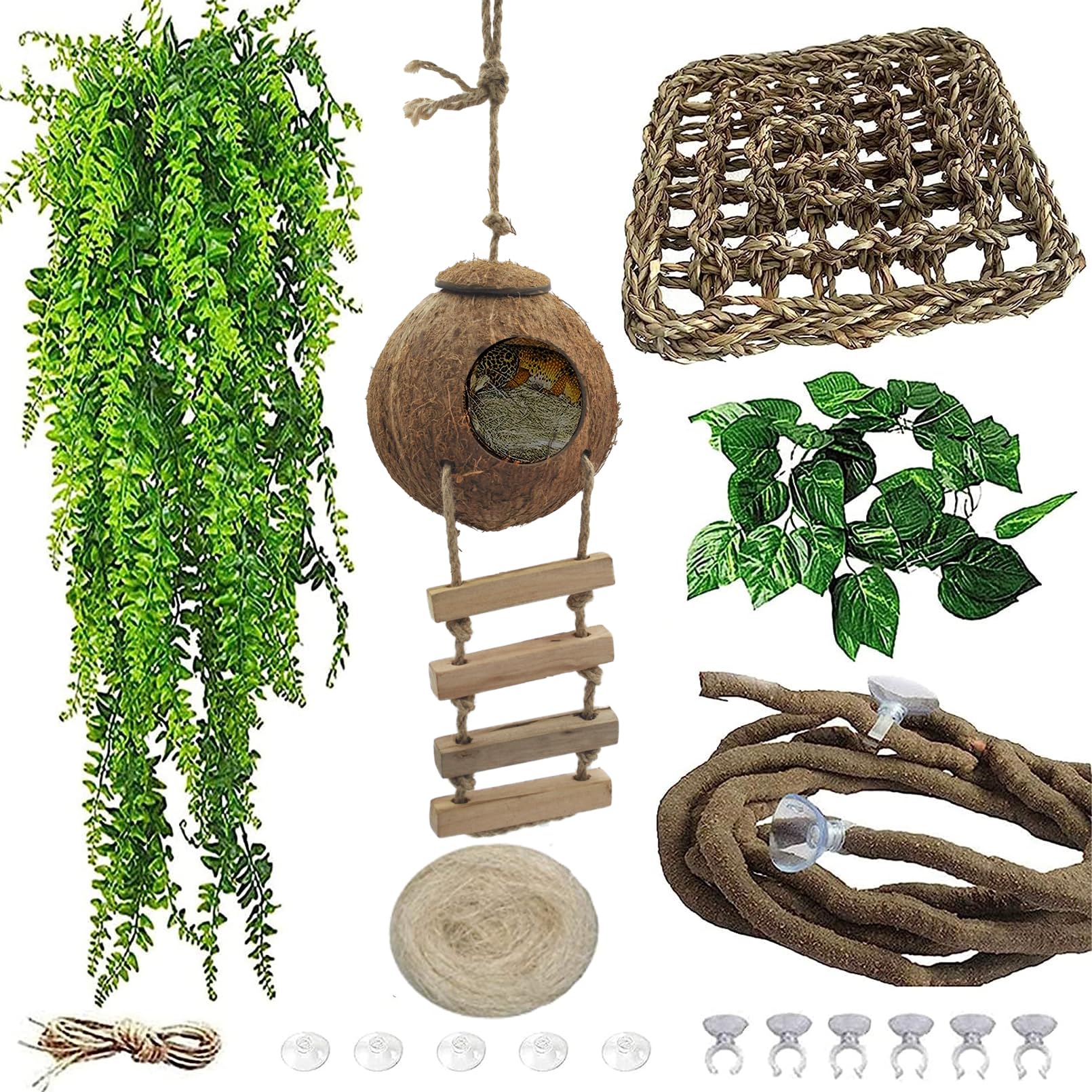 MUYG crested gecko coconut hut with ladder provides natural hideout and safe climbing area.