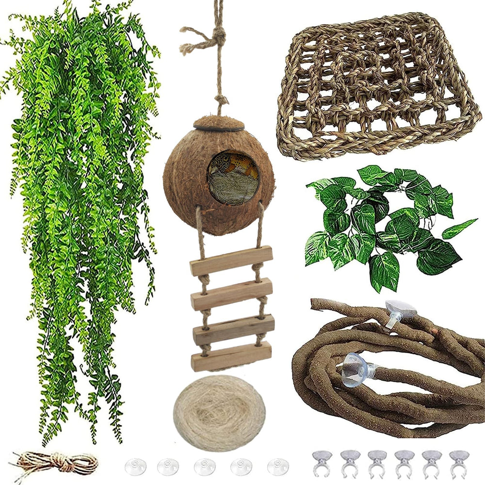 MUYG crested gecko coconut hut with ladder provides natural hideout and safe climbing area.