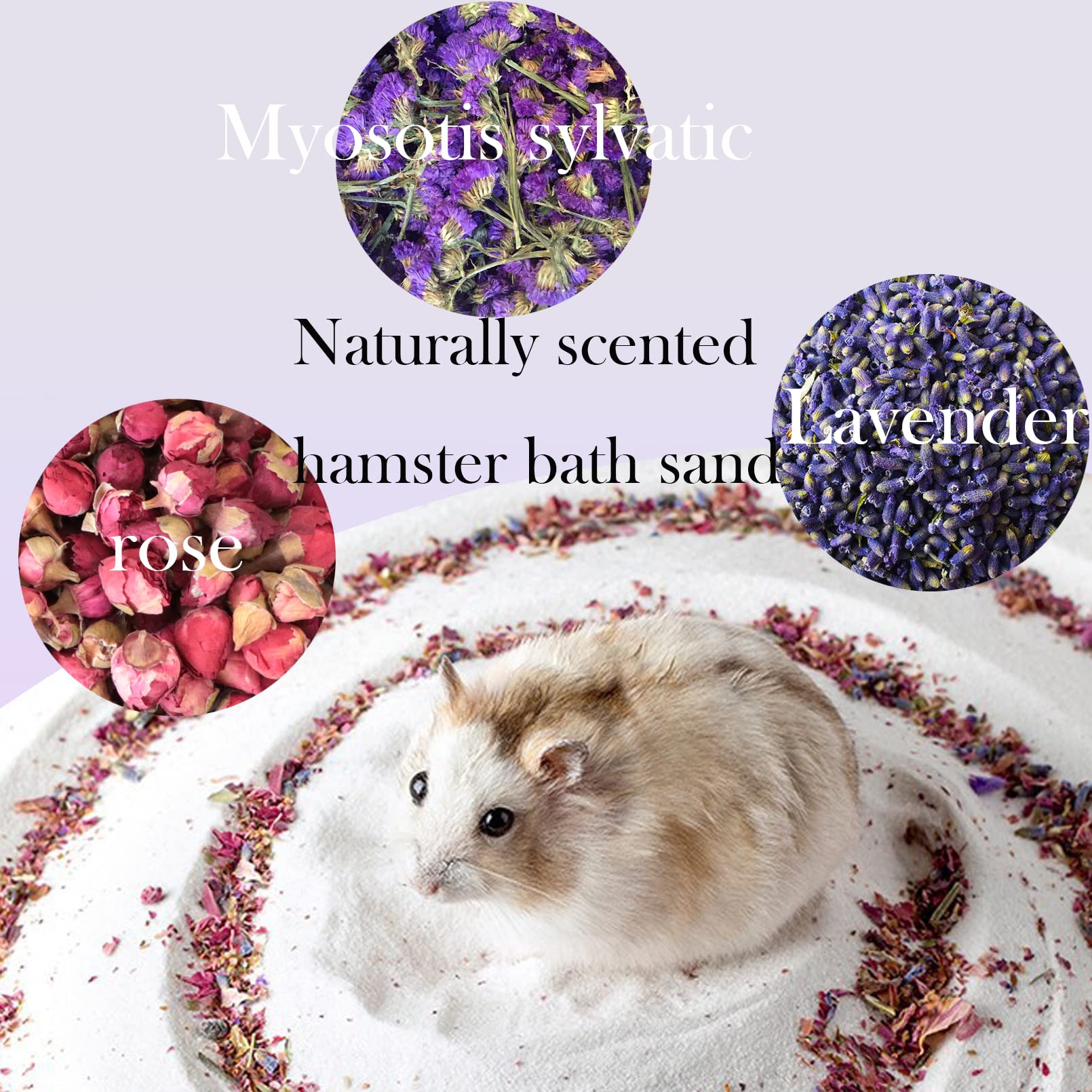 MUYG small pet bath sand in use, easy odor and oil management.