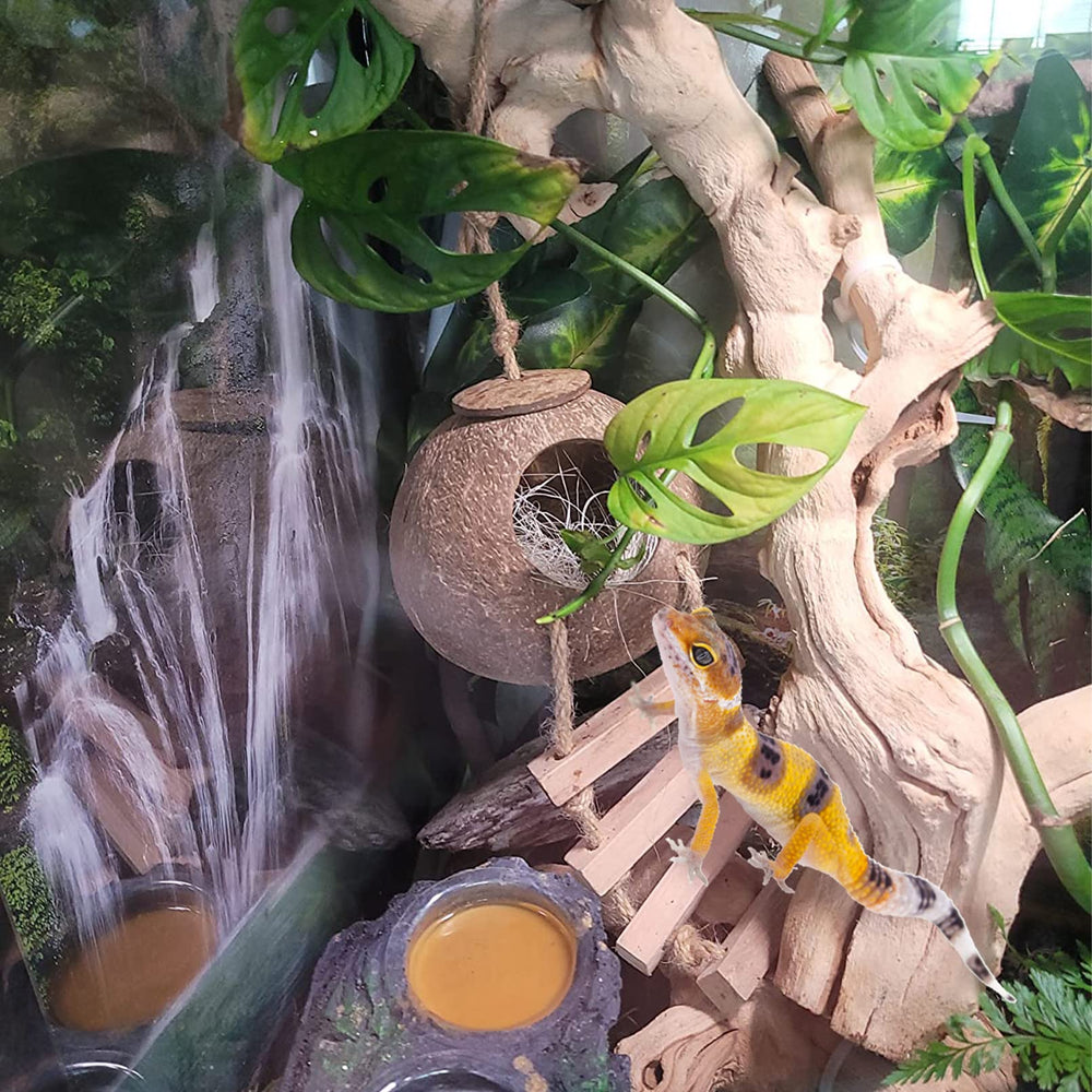 MUYG Lizard Coco Den climbing vines invite exploration and exercise