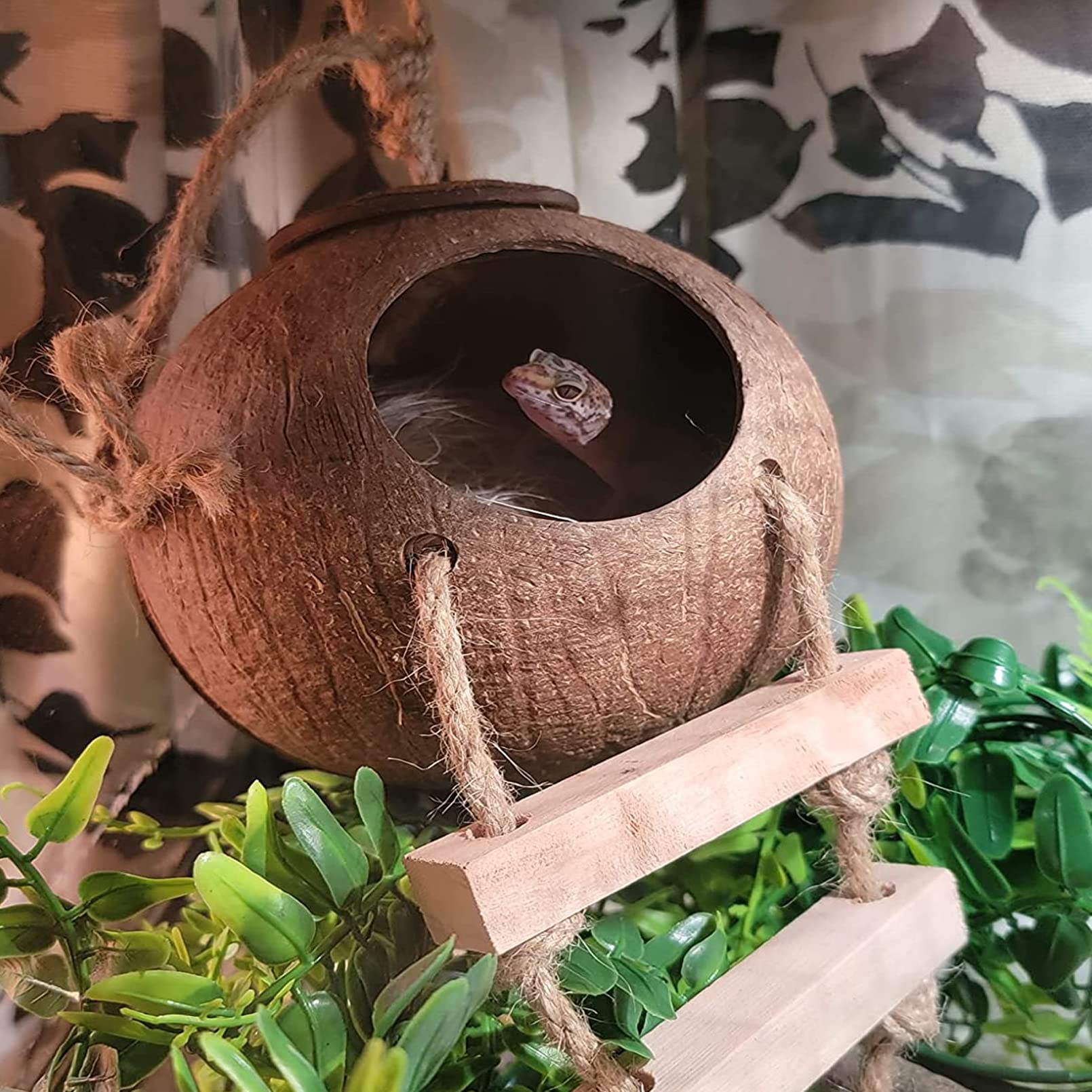 MUYG Lizard Coco Den hanging plant adds natural decor and vertical space