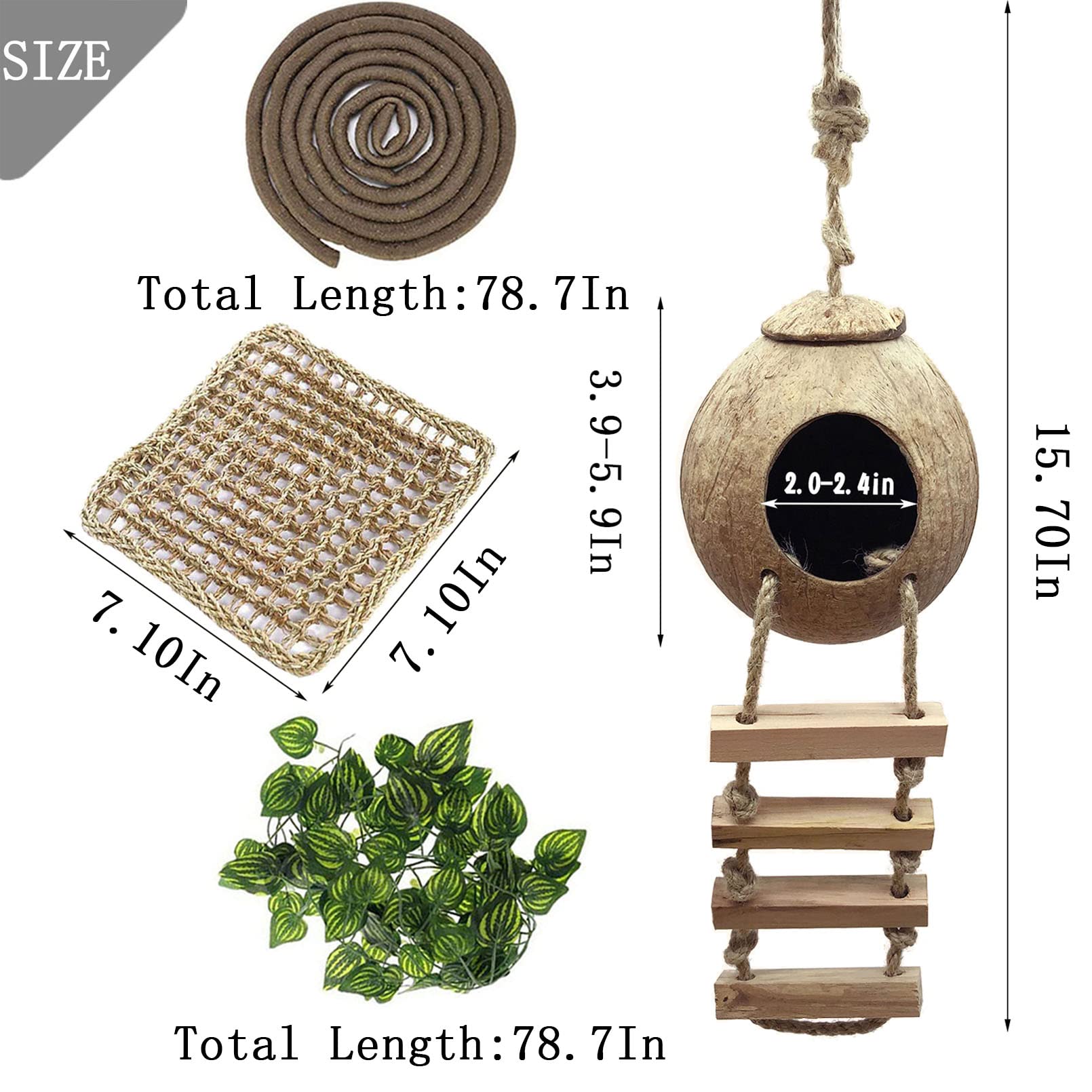 MUYG Lizard Coco Den suction cups secure accessory placement