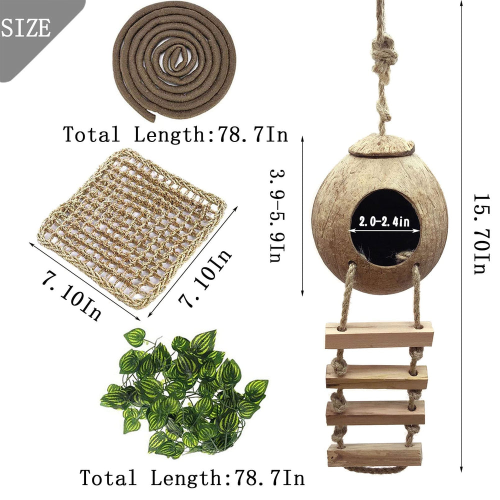 MUYG Lizard Coco Den suction cups secure accessory placement