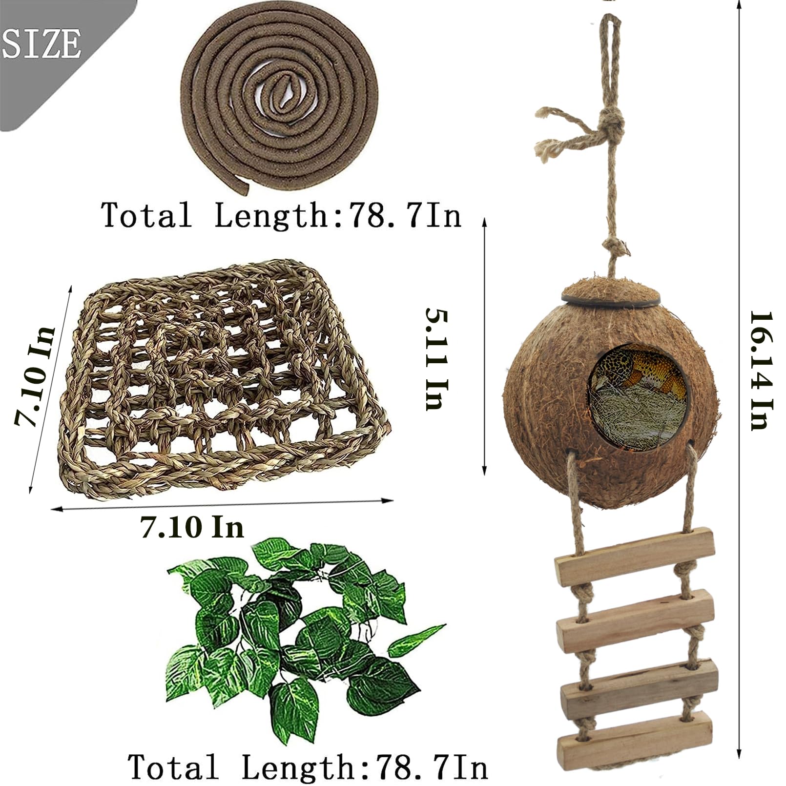 MUYG lizard hammock supports elevated lounging and exercise.