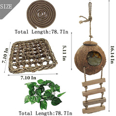 MUYG lizard hammock supports elevated lounging and exercise.