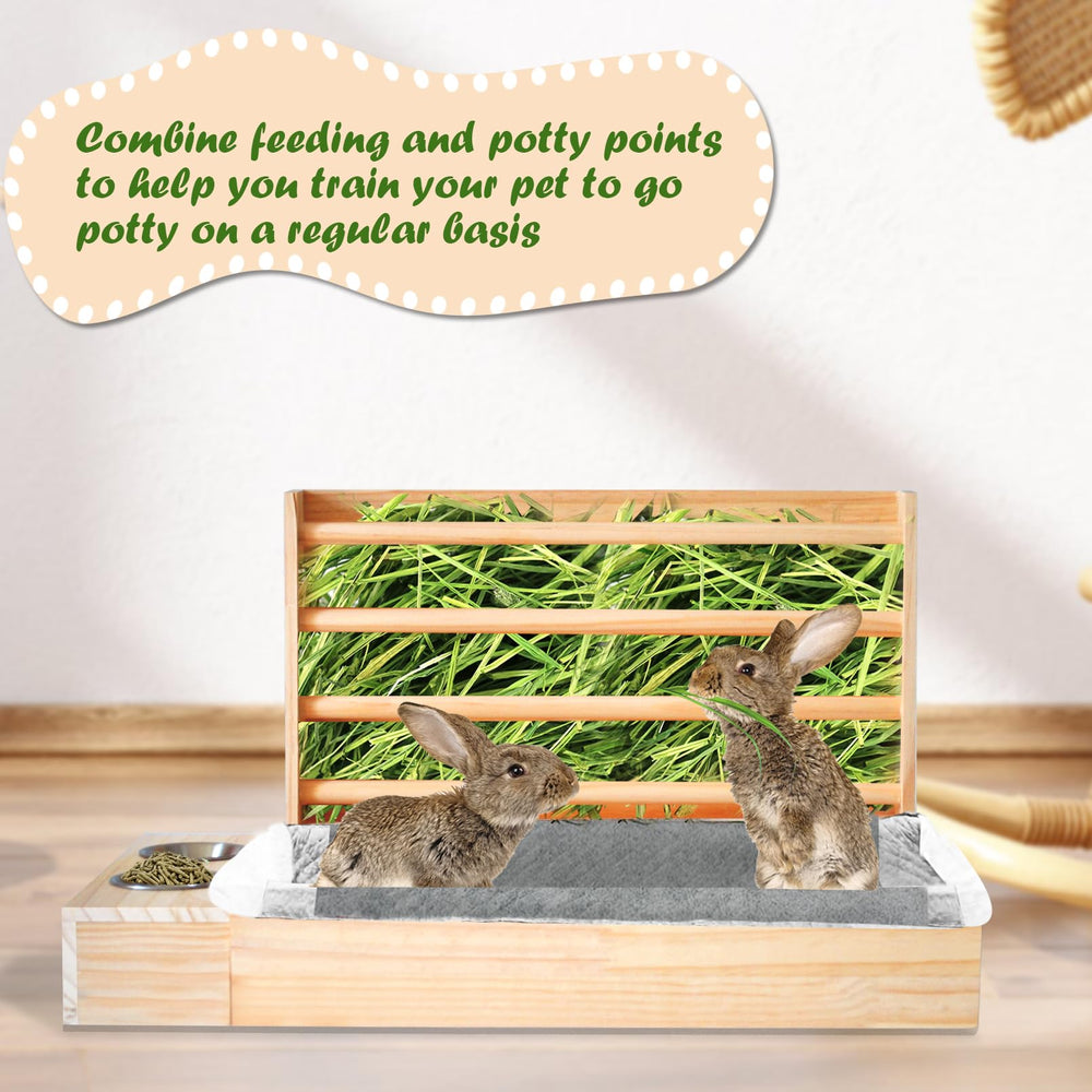 MUYG plastic sand basin complements the litter box for clean habitat