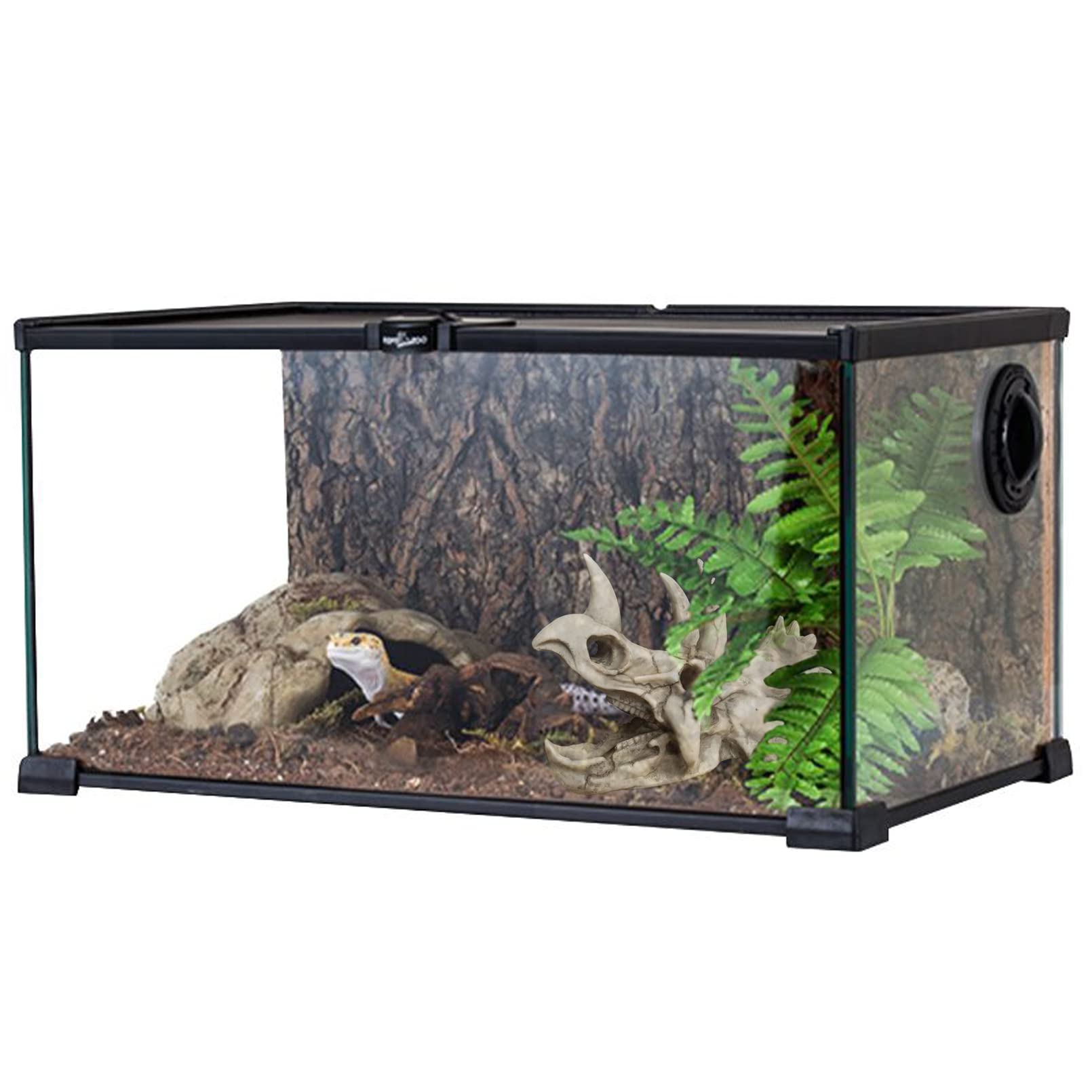 MUYG Suction cup buckle keeps decor firmly in place on tank surfaces.