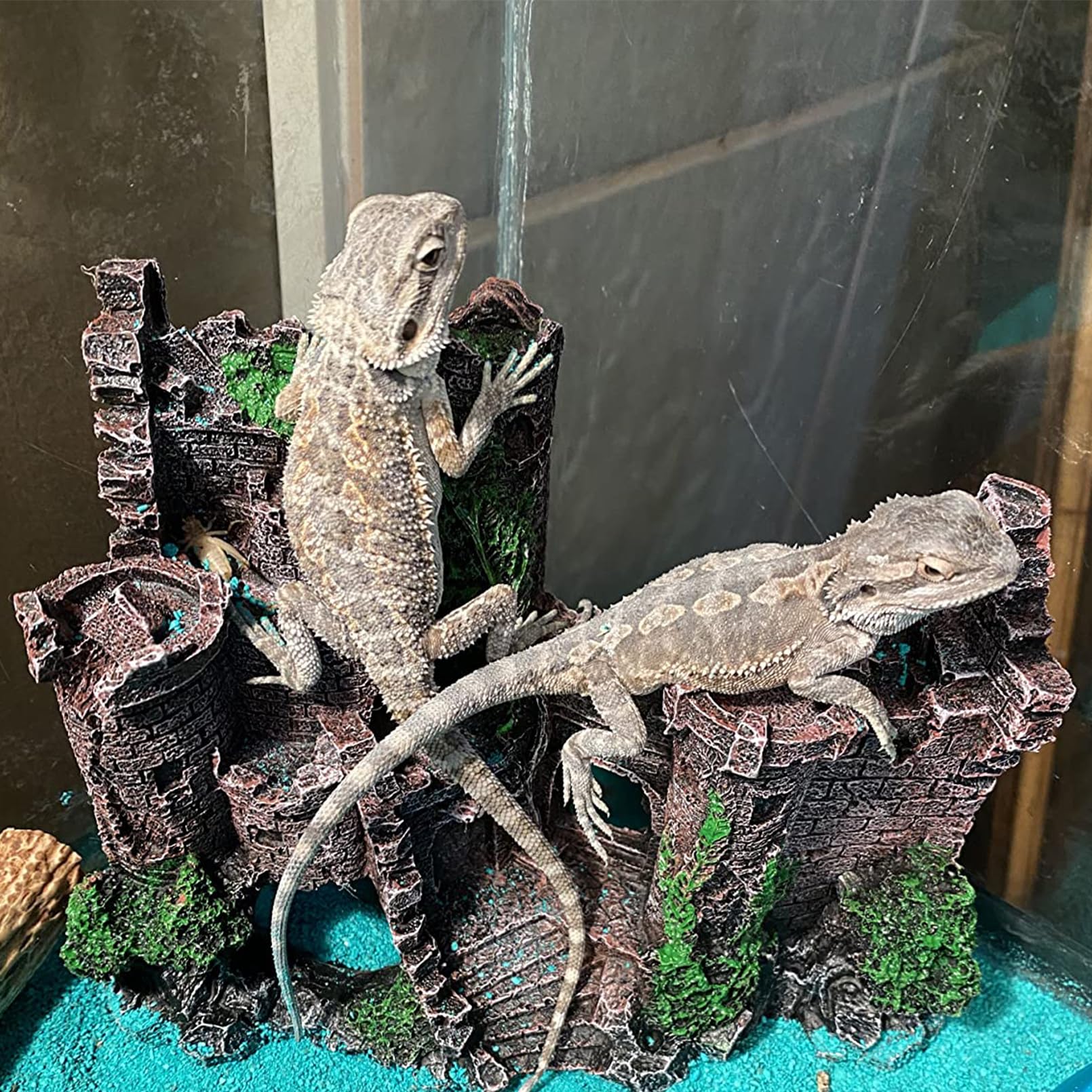 MUYG reptile branch decor adds vertical interest and climbing options