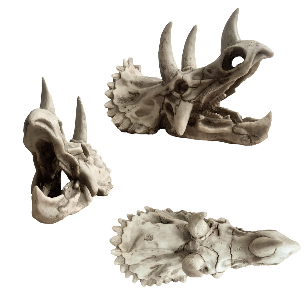 MUYG Terrarium skull decor creates immersive prehistoric scenery in habitats.