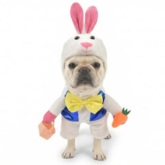 MuYaoPet Easter Bunny dog costume bodysuit with bow tie for playful photos