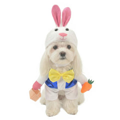 MuYaoPet Easter Bunny Dog Costume for bright Easter photos and playful moments