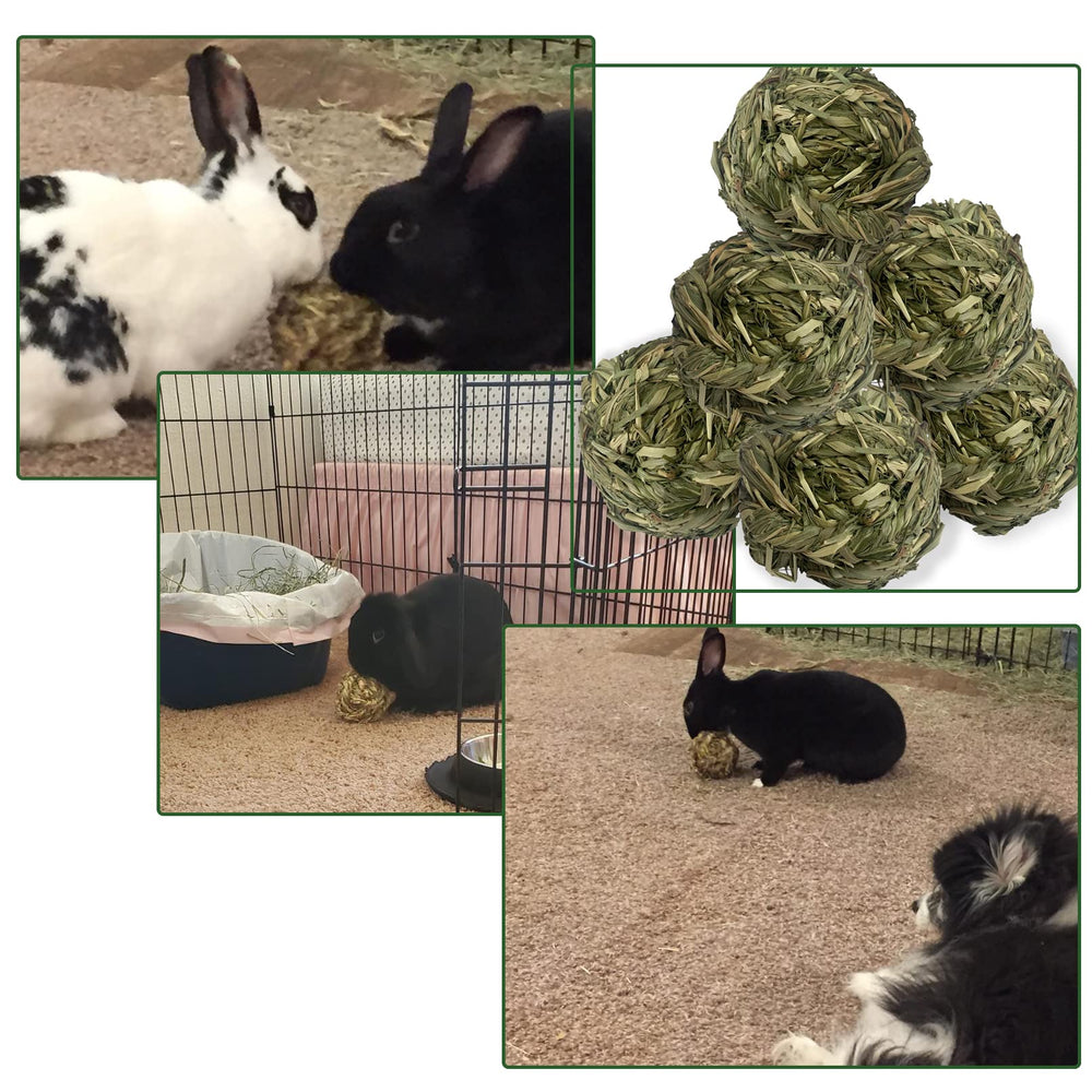 MUYG woven Timothy hay ball in cage for daily play sessions