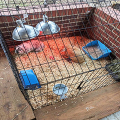 MUYG corner litter box blue, space-saving fit in small cages