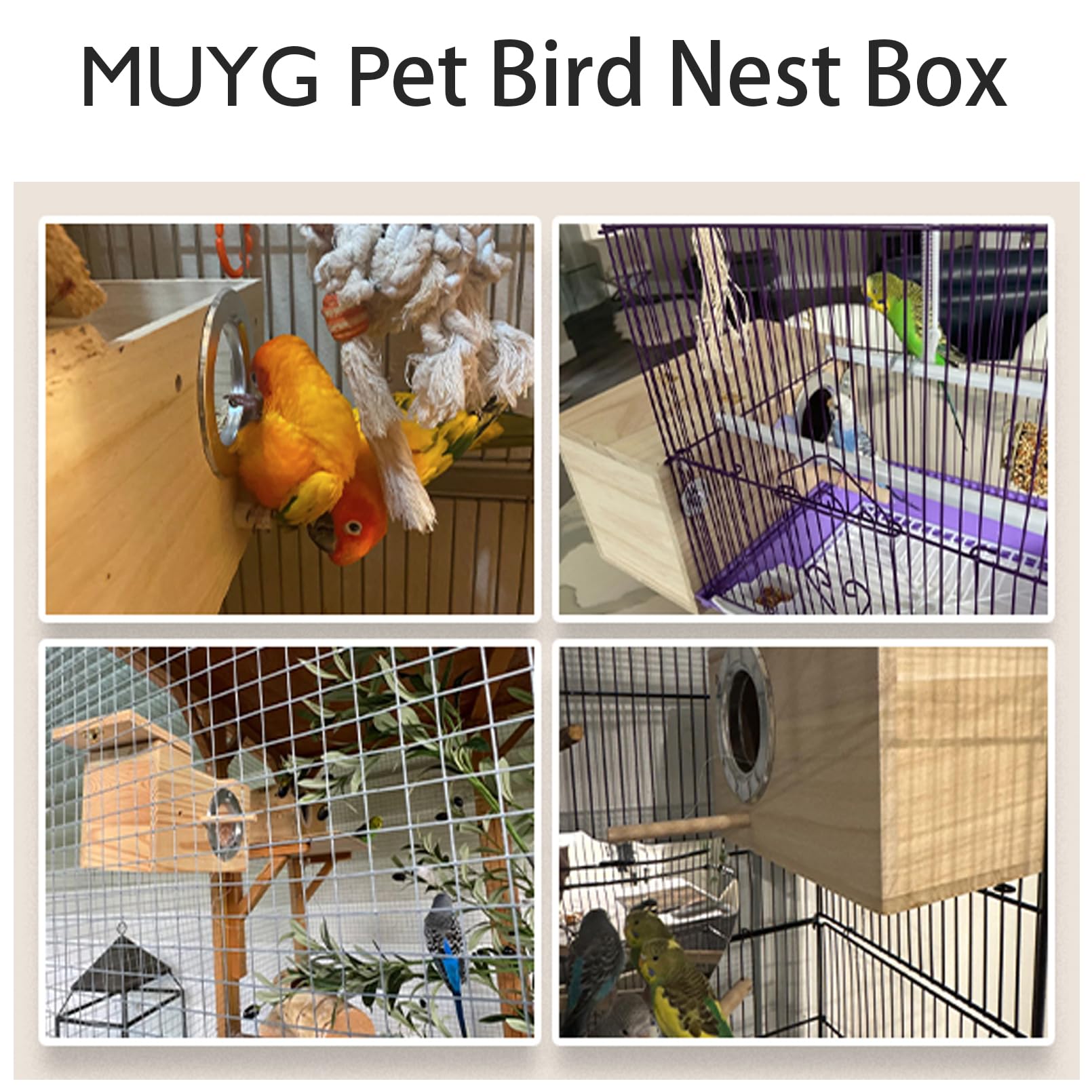 MUYG nesting box front view showing transparent panel for monitoring