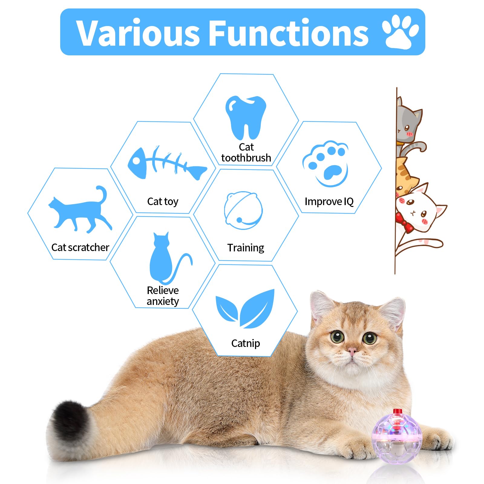 MVNIHEK cat ball training aids running and jumping with flashing lights