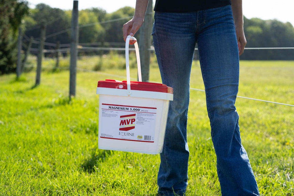MVP Magnesium 5000 dosed scoop for precise daily servings.