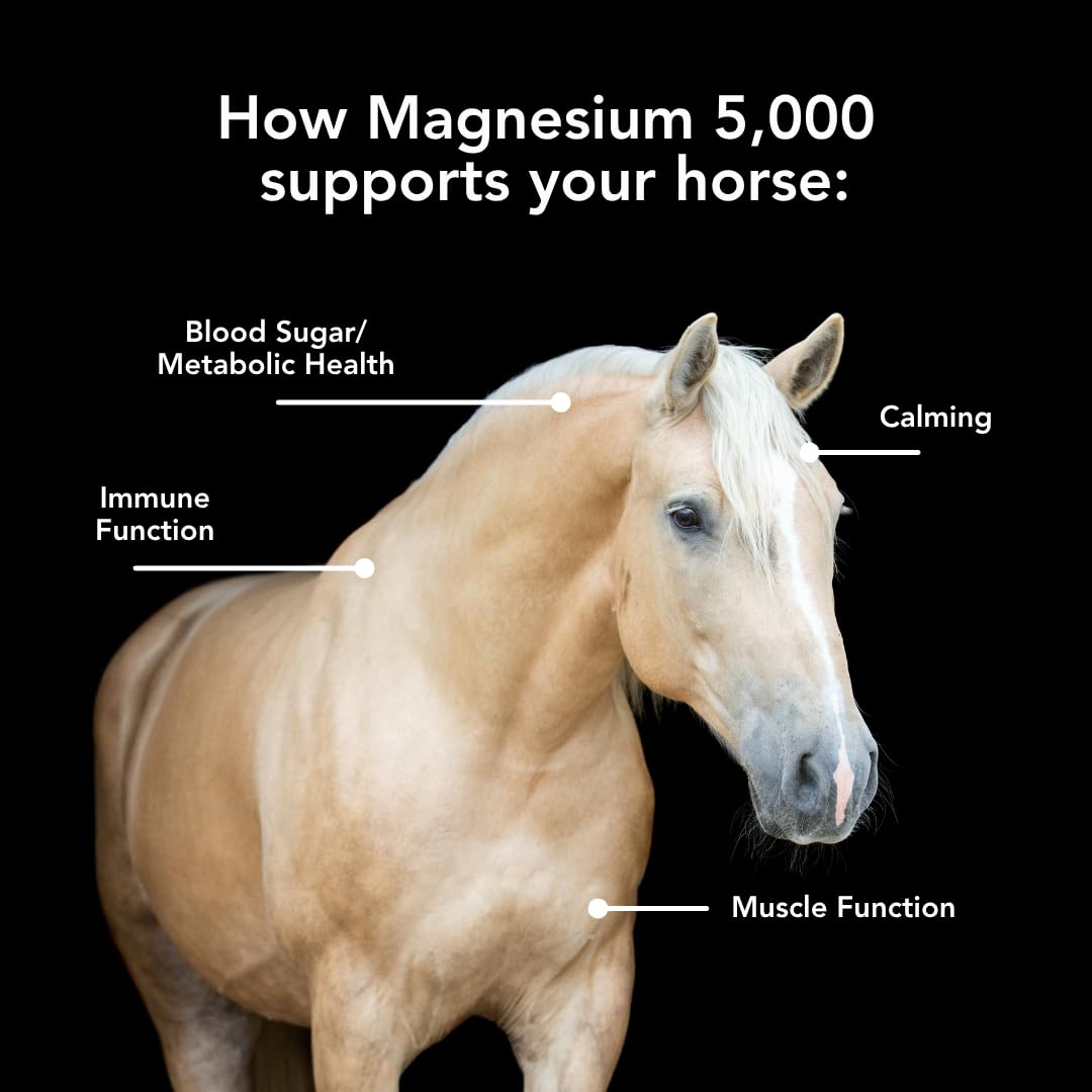 MVP Magnesium 5000 pellets close-up texture improves digestibility and consistent feeding.
