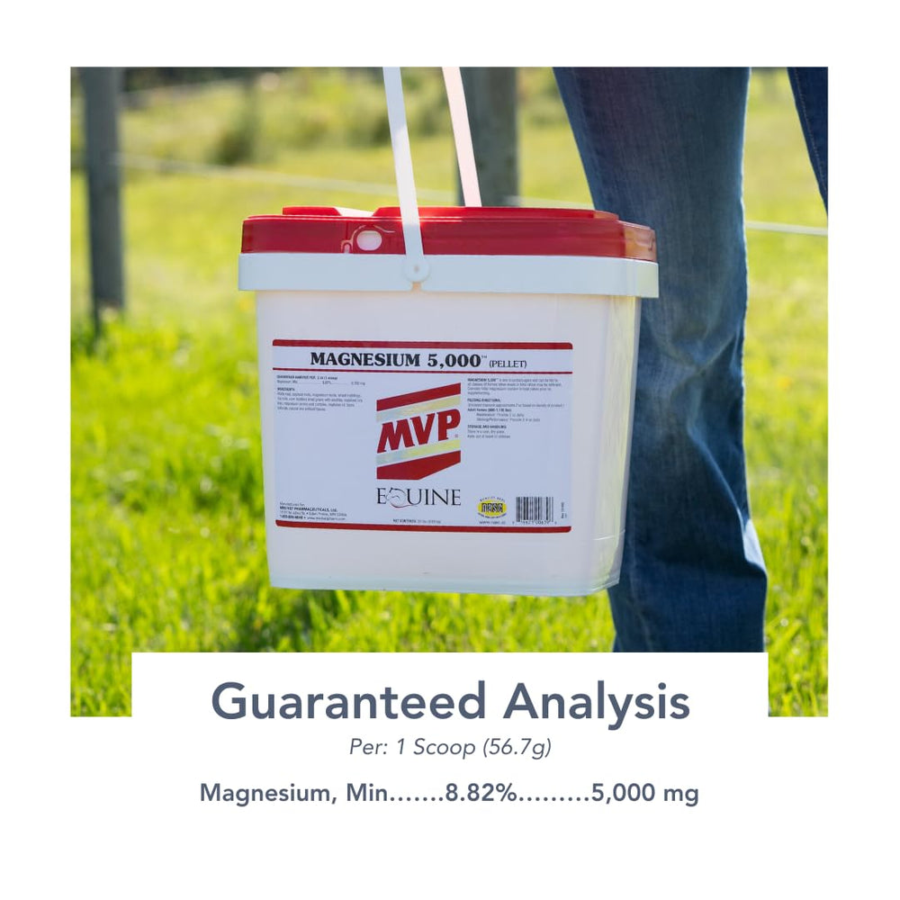 MVP Magnesium 5000 pellets mixed into horse feed for convenience