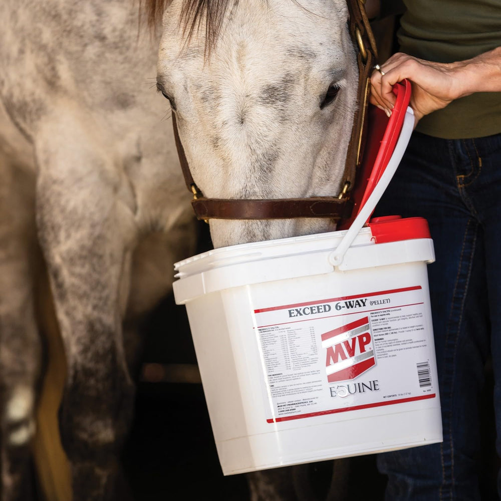 MVP Exceed digestion-support pellets help digestion during meals.