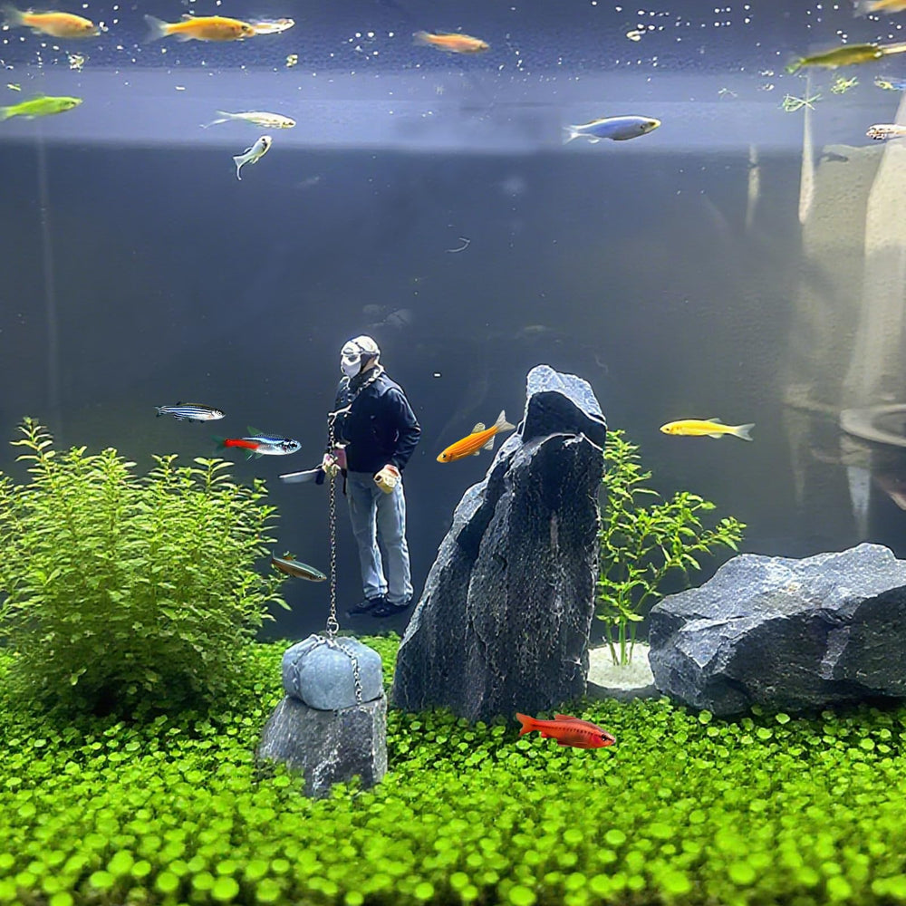 MWYZGmold unique aquarium decor for personal expression.
