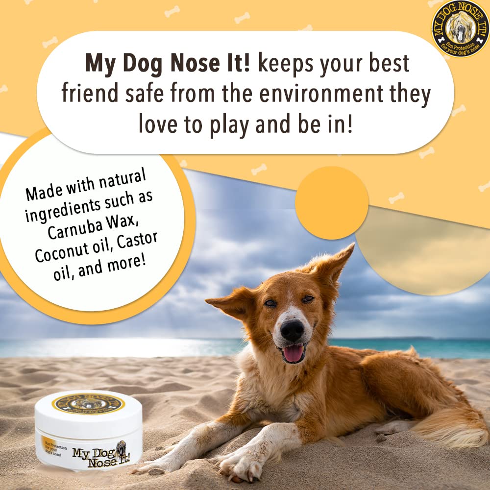 My Dog Nose It safe-for-pets balm for noses, ears and bellies.