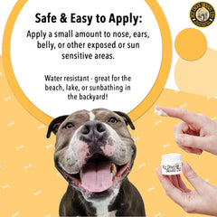 My Dog Nose It water-resistant balm at the beach during sun play.