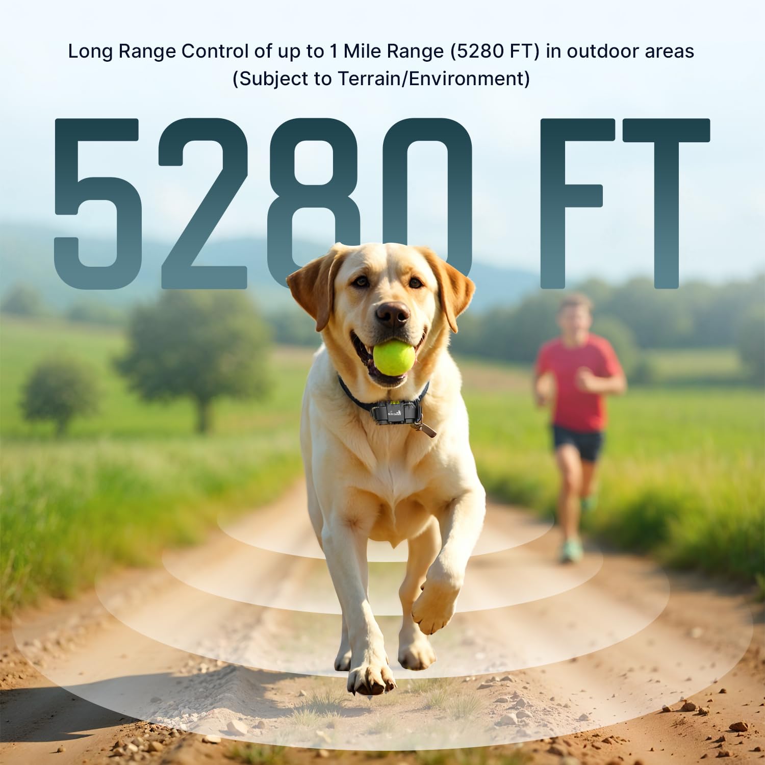 My Pet Command prong options for comfortable fits across breeds