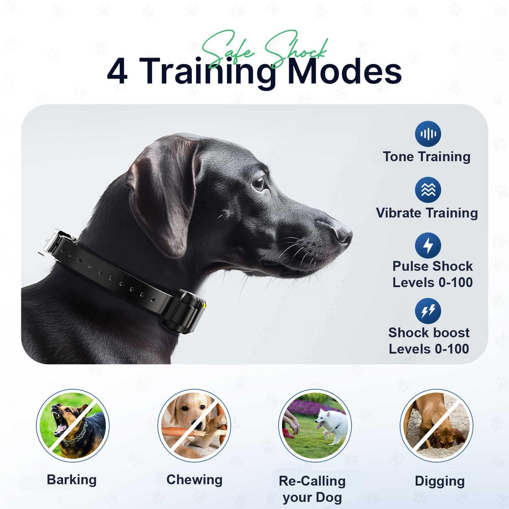 Waterproof My Pet Command collars designed for outdoor training in rain or water