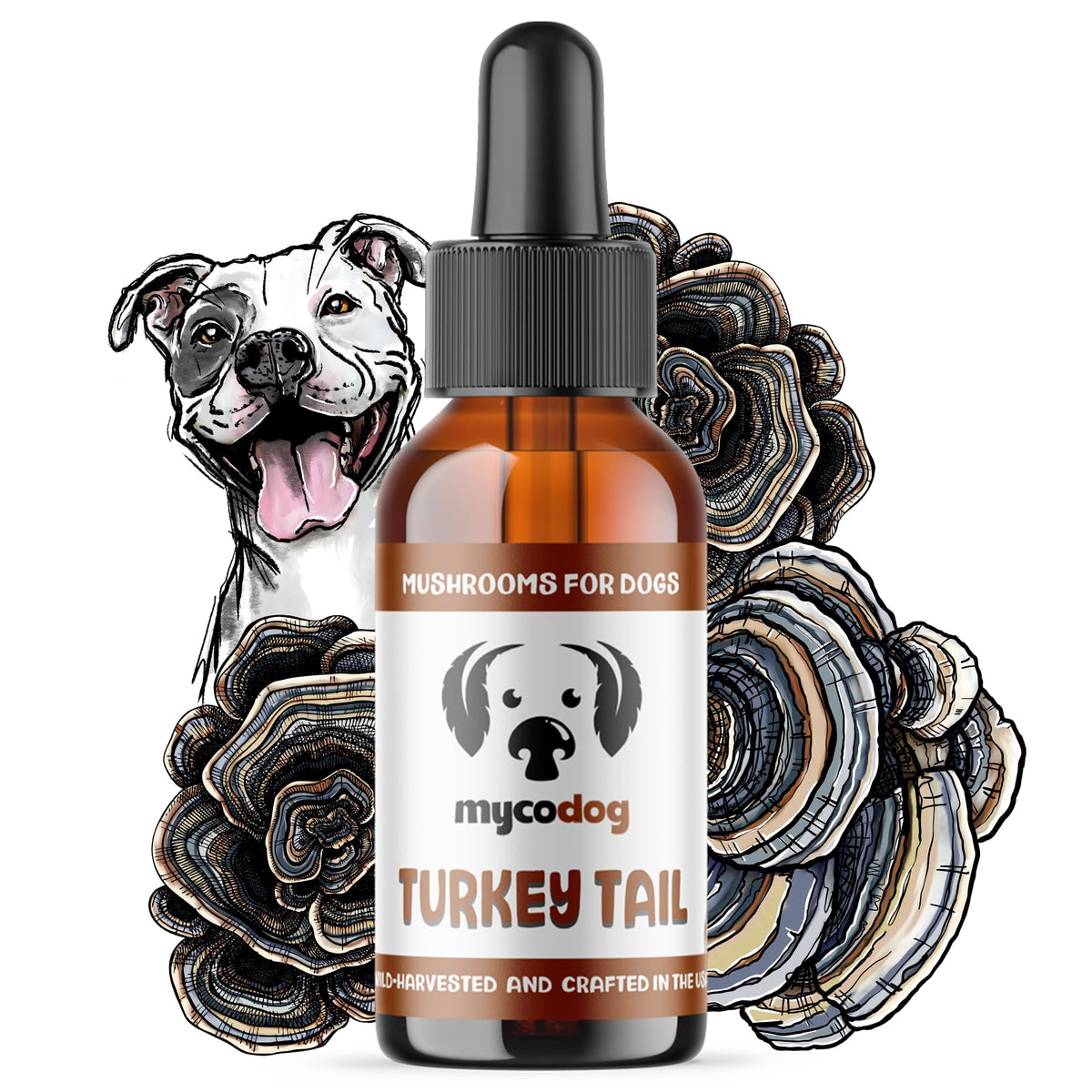 MycoDog Turkey Tail tincture bottle for dogs supports immune balance.