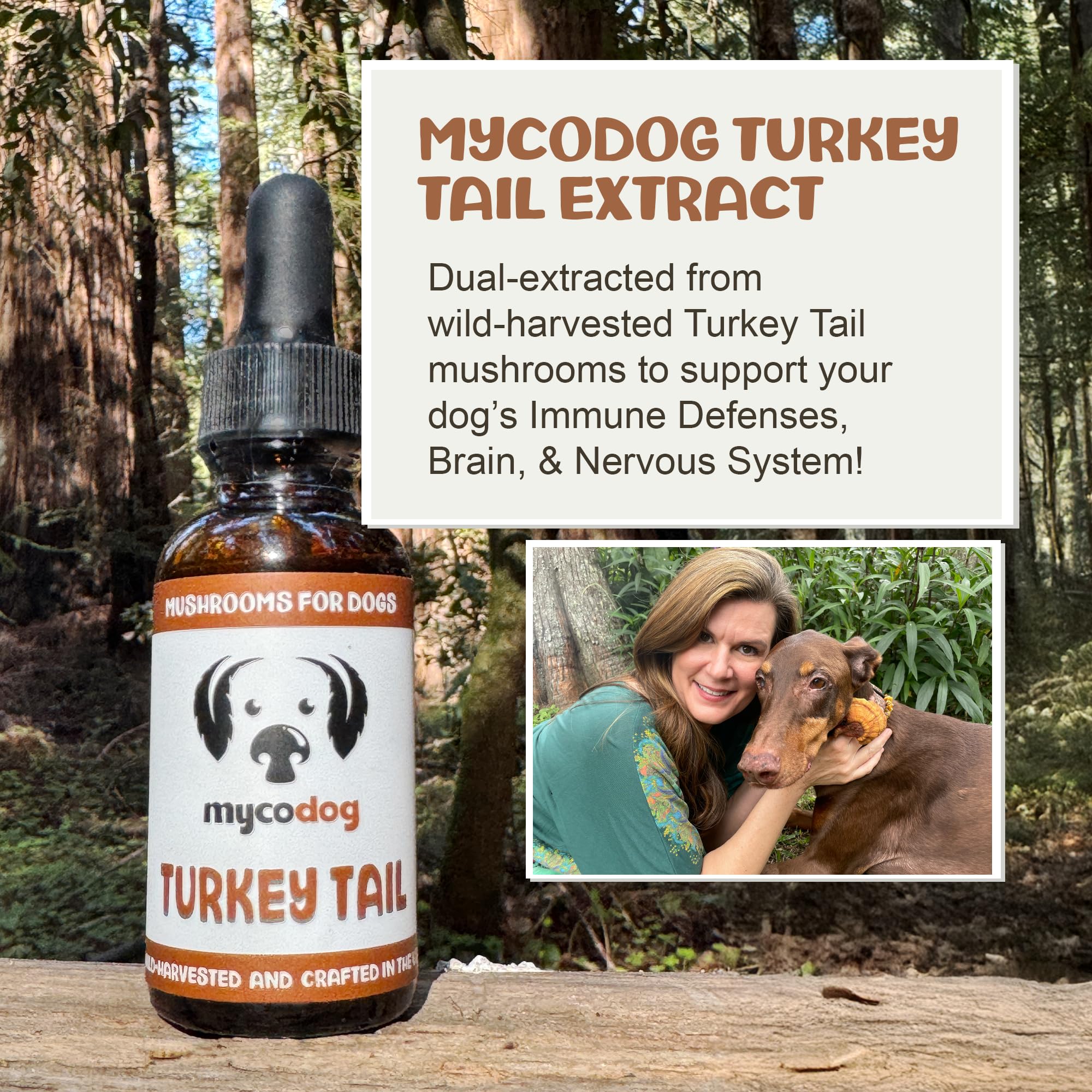 Droplet applicator for MycoDog drops enables precise daily dosing.