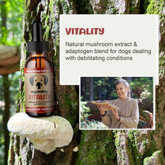 MycoDog Vitality bottle shows reishi mushrooms for potential overall wellness in senior dogs.