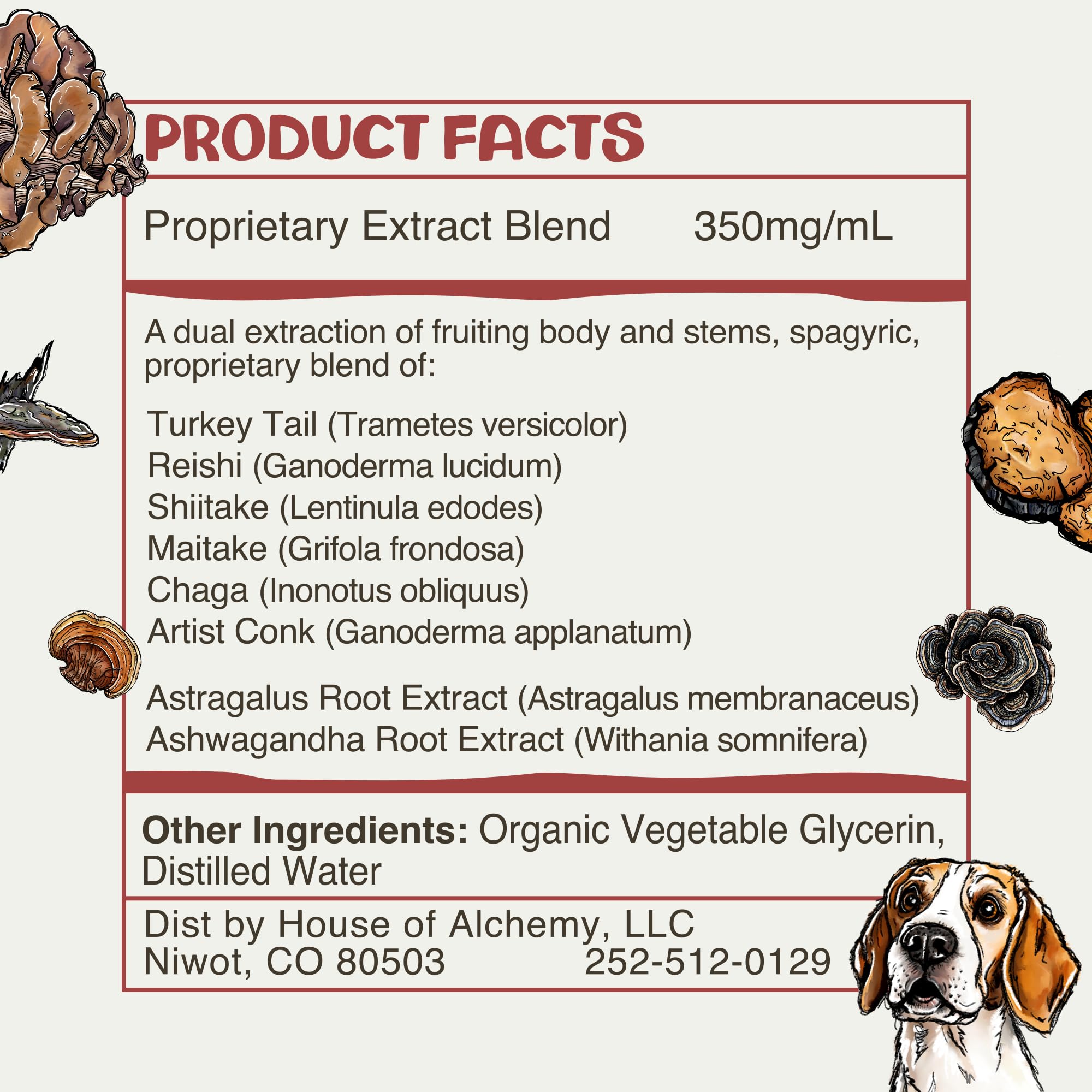 Complete packaging showcases MycoDog Vitality promise of quality and care.
