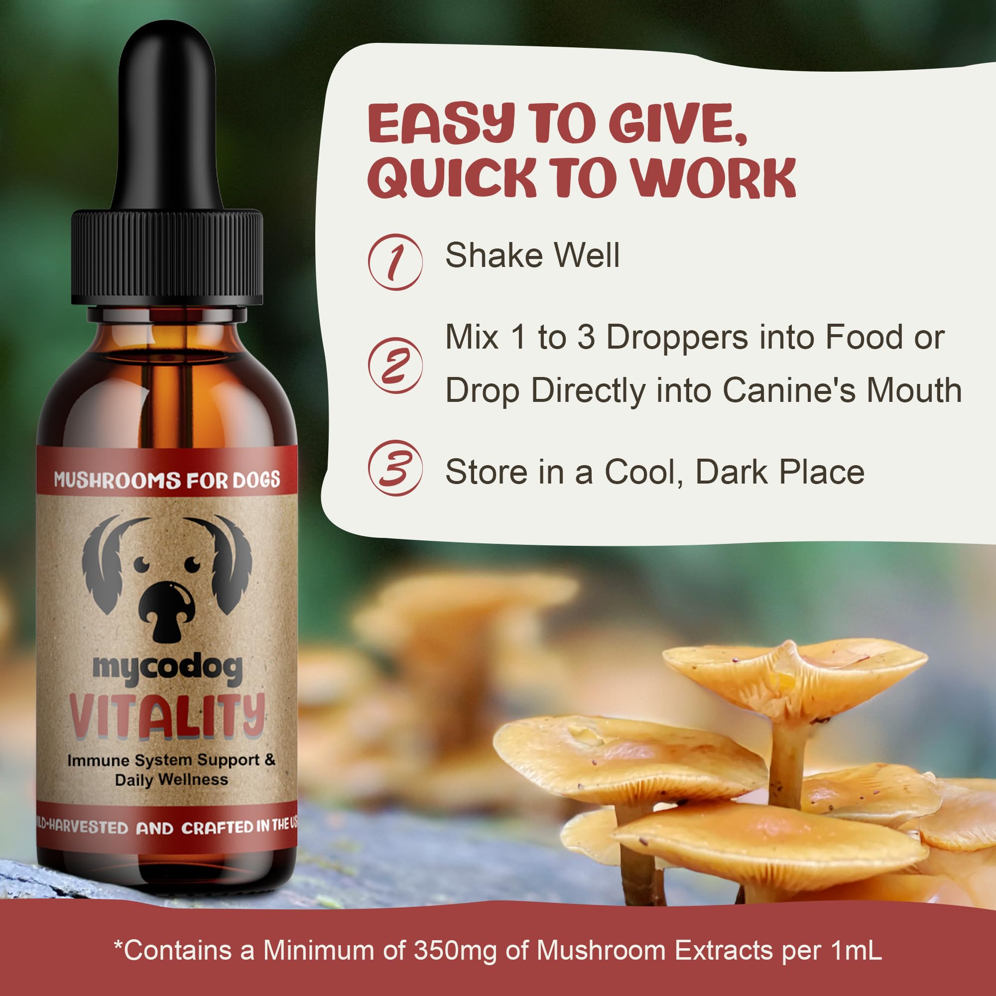Ingredient close-up shows mushrooms used in MycoDog Vitality.