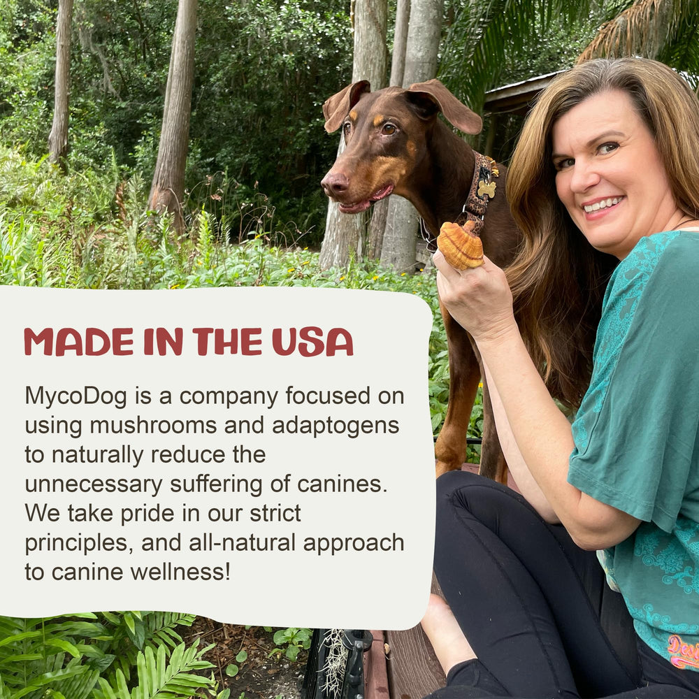 Owner pouring MycoDog Vitality onto meal for easy integration.