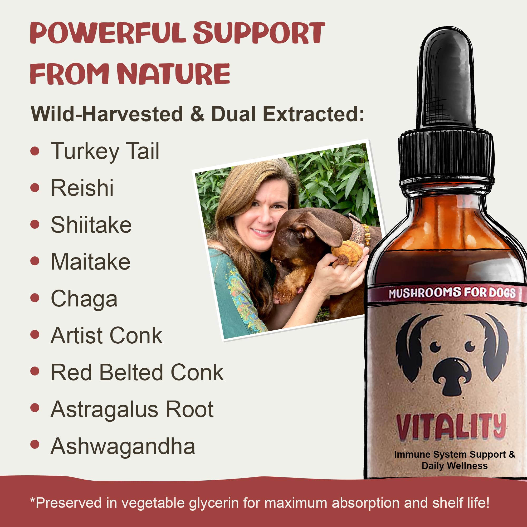 Serving dish image suggests easy mixing into dog meals with MycoDog Vitality.