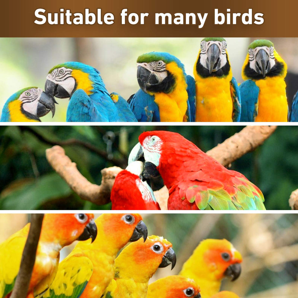Wall- or cage-hanging design keeps birds engaged safely.