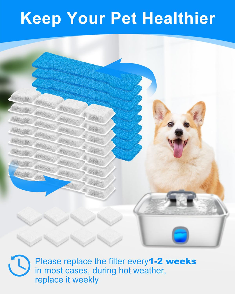 MyfatBoss compatible-sibays-kastty image shows universal fit for multi-pet households
