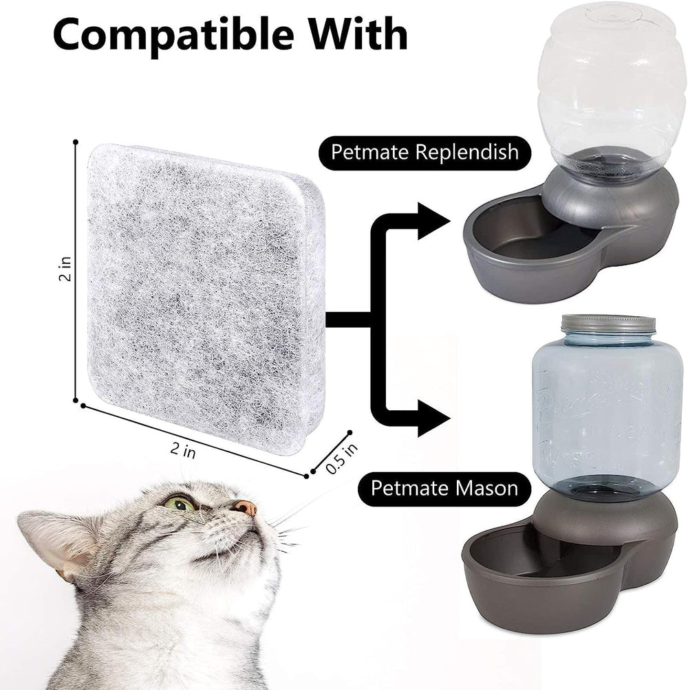 MyfatBOSS filter in-use on a dog bowl demonstrates ongoing filtration.